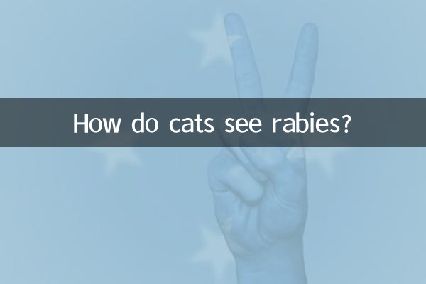 Como os gatos veem a raiva?