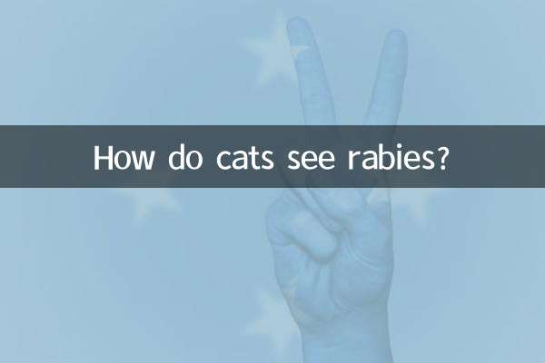 Como os gatos veem a raiva?