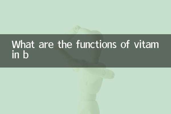 Quali sono le funzioni della vitamina B