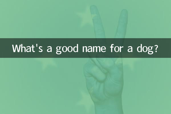 개에게 좋은 이름은 무엇입니까?