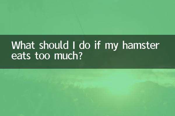 햄스터가 너무 많이 먹으면 어떻게 해야 하나요?