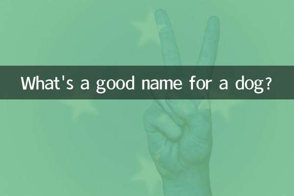 狗叫什么名字好