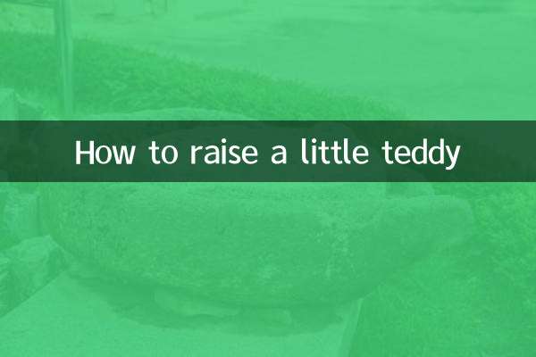 Как вырастить маленького Тедди
