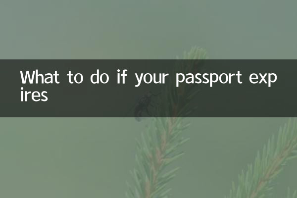 Cosa fare se il passaporto scade