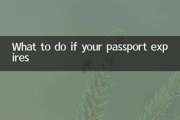 护照过期怎么办