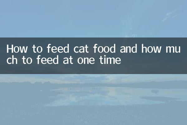 Como alimentar comida de gato e quanto alimentar de cada vez