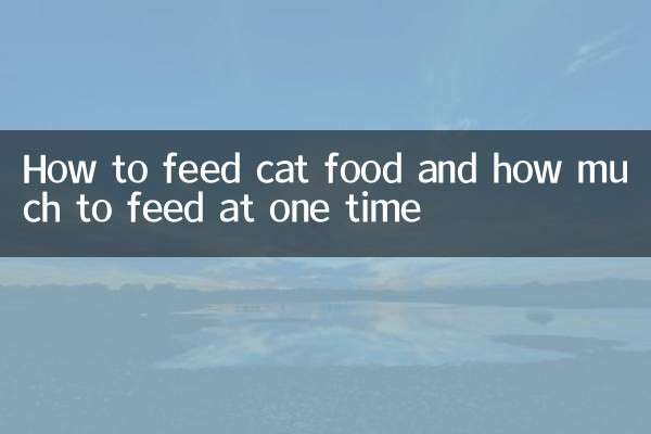 Como alimentar comida de gato e quanto alimentar de cada vez
