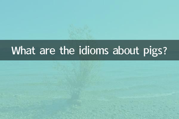 Welche Redewendungen gibt es über Schweine?