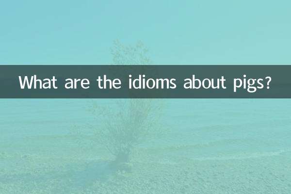 Welche Redewendungen gibt es über Schweine?