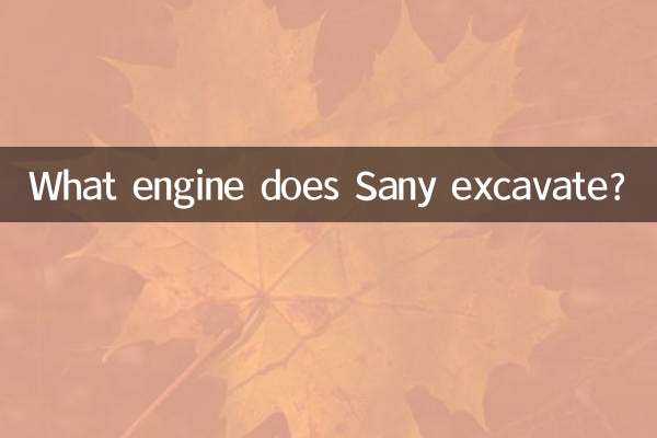 ¿Qué motor se excava Sany?