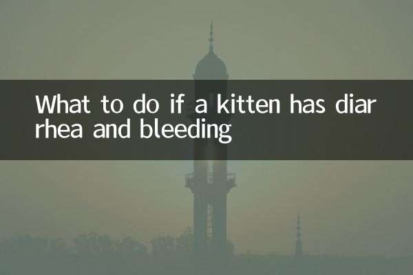 What to do if a kitten has diarrhea and bleeding
