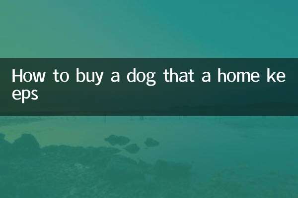 Come acquistare un cane che una casa mantiene