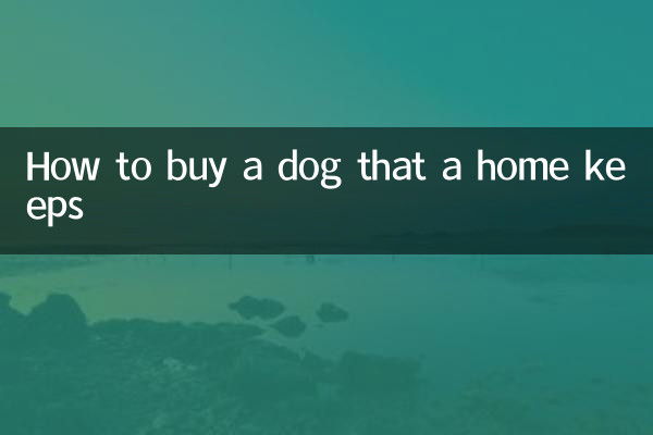 How to buy a dog that a home keeps