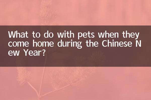 Cosa fare con gli animali domestici quando tornano a casa durante il Capodanno cinese?