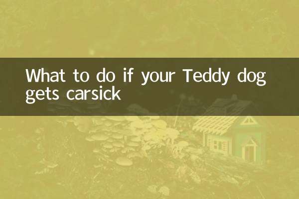 What to do if your Teddy dog ​​gets carsick