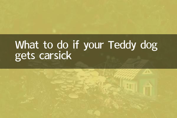 What to do if your Teddy dog ​​gets carsick