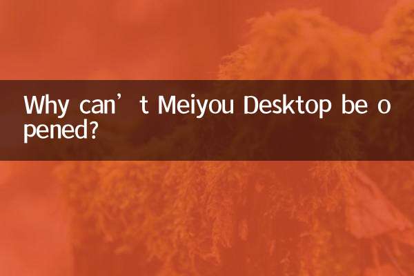 Why can’t Meiyou Desktop be opened?