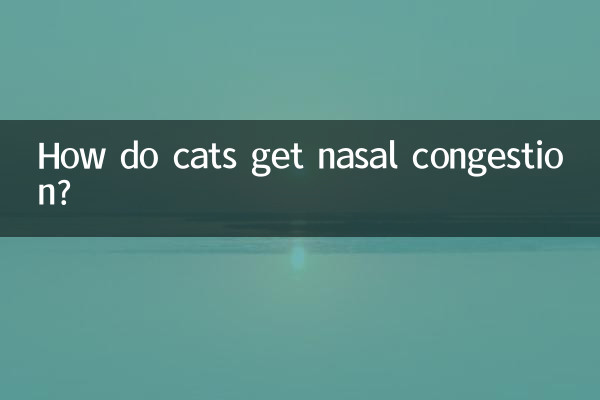 ¿Cómo les da congestión nasal a los gatos?