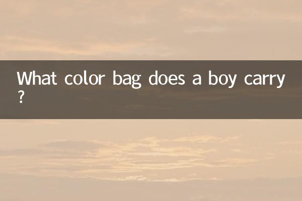 Di che colore è la borsa che porta un ragazzo?