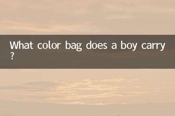 Di che colore è la borsa che porta un ragazzo?