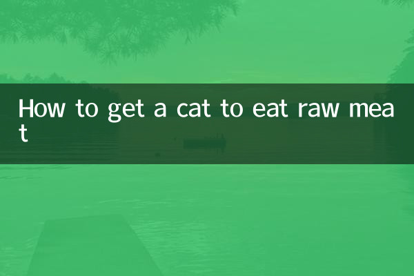 Come convincere un gatto a mangiare carne cruda