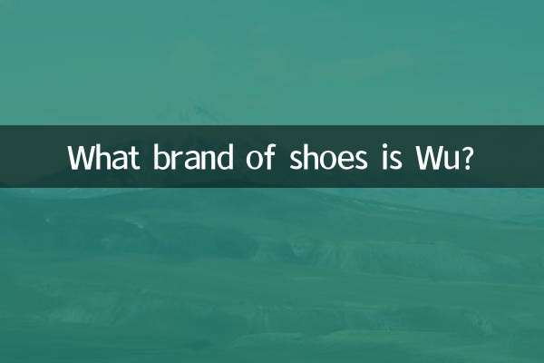 Welche Schuhmarke ist Wu?