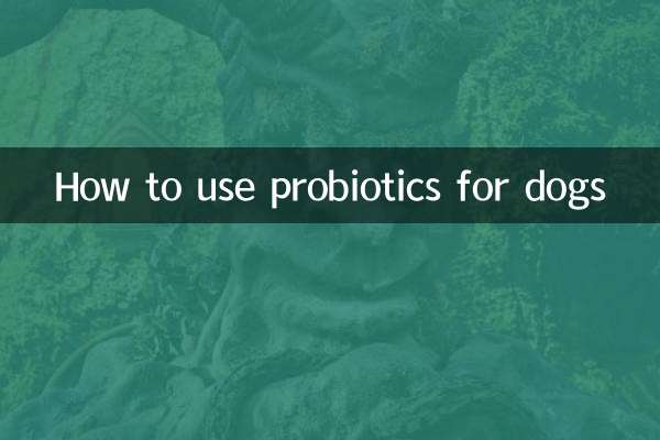 كيفية استخدام البروبيوتيك للكلاب