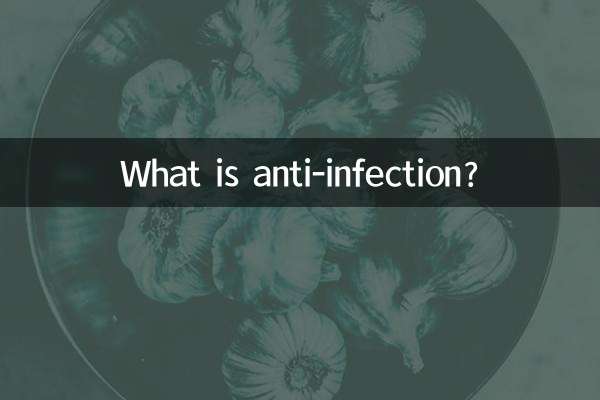 항감염제란 무엇입니까?