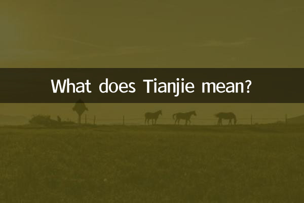 天解是什么意思