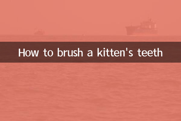 كيفية تنظيف أسنان القطة