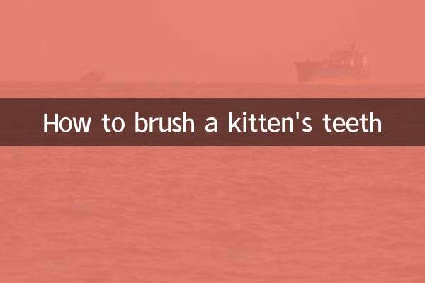 كيفية تنظيف أسنان القطة