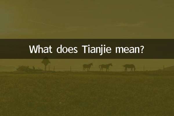 天解是什么意思