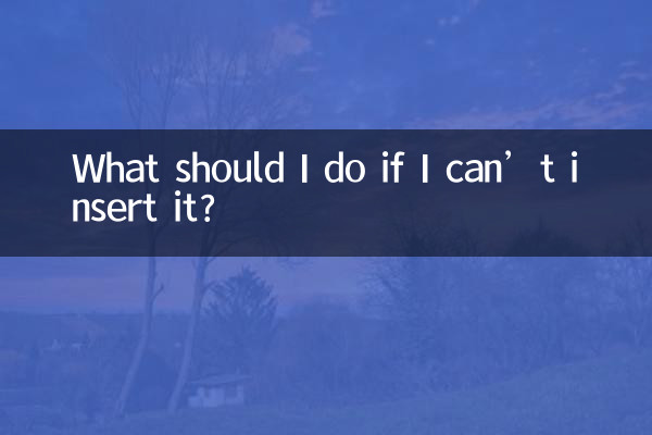 اگر میں اسے داخل نہیں کرسکتا تو مجھے کیا کرنا چاہئے؟