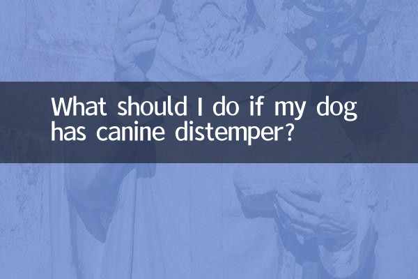 狗得了狗瘟怎麼辦