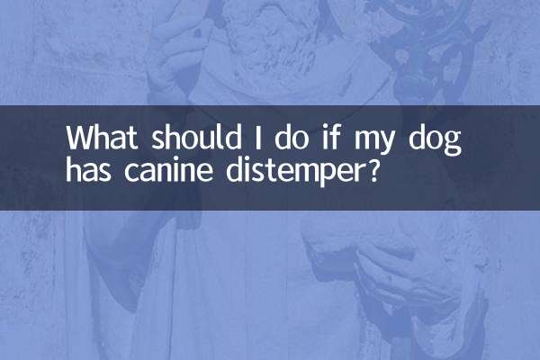 Cosa devo fare se il mio cane ha il cimurro?