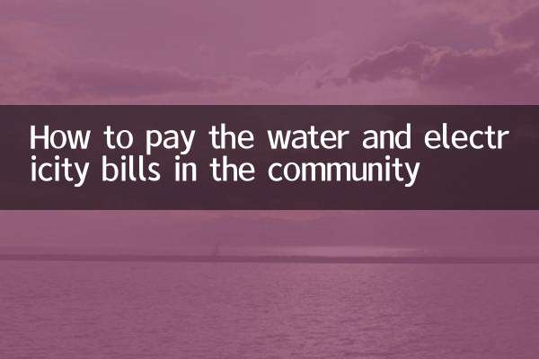 Cómo pagar las facturas de agua y luz en la comunidad