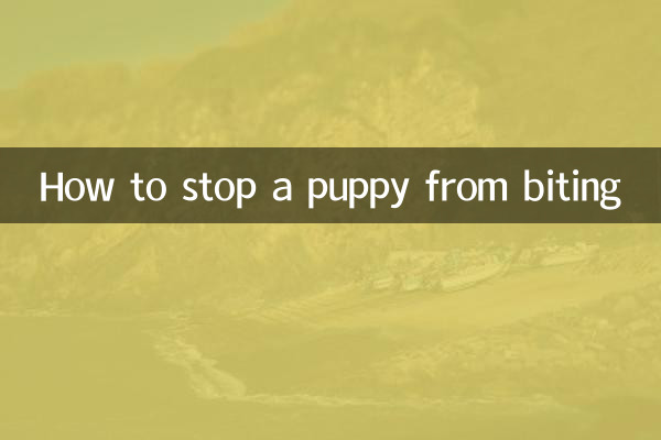 子犬の噛み癖を止める方法