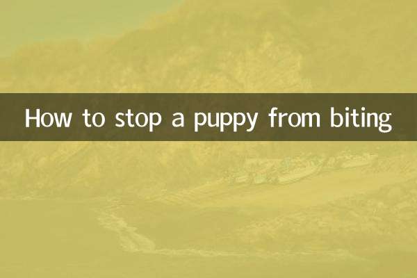 子犬の噛み癖を止める方法
