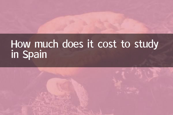스페인 유학 비용은 얼마입니까?