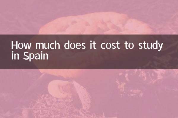 스페인 유학 비용은 얼마입니까?