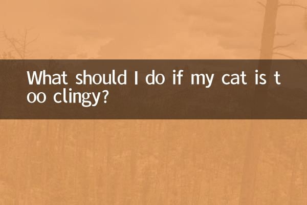 O que devo fazer se meu gato for muito pegajoso?