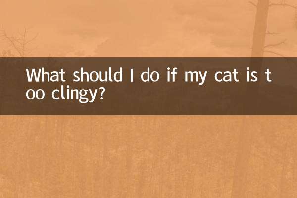 O que devo fazer se meu gato for muito pegajoso?