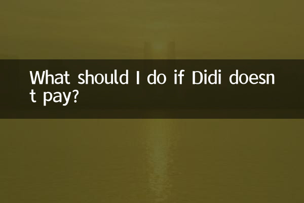 What should I do if Didi doesn’t pay?