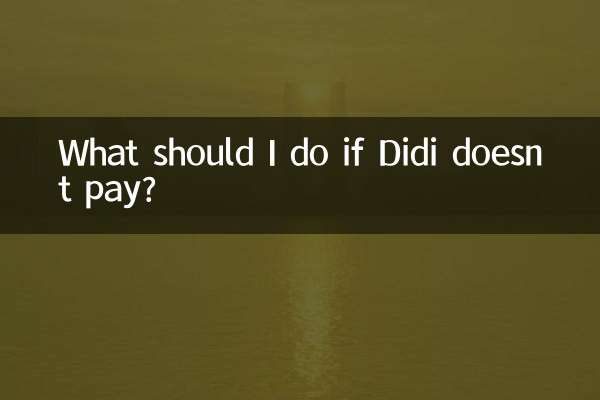 What should I do if Didi doesn’t pay?