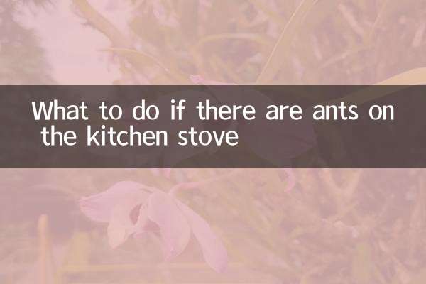 What to do if there are ants on the kitchen stove