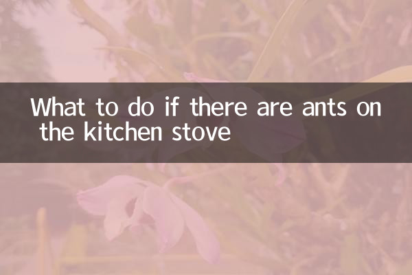 What to do if there are ants on the kitchen stove