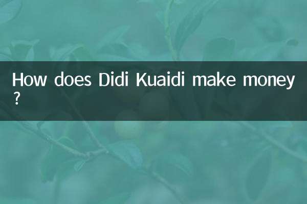 Как Диди Куайди зарабатывает деньги?