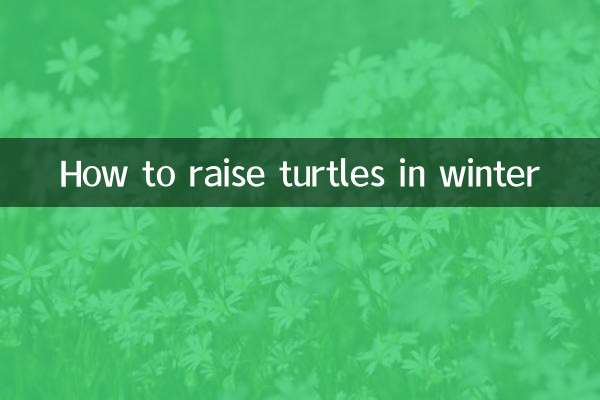 How to raise turtles in winter