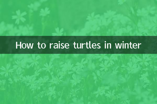 How to raise turtles in winter