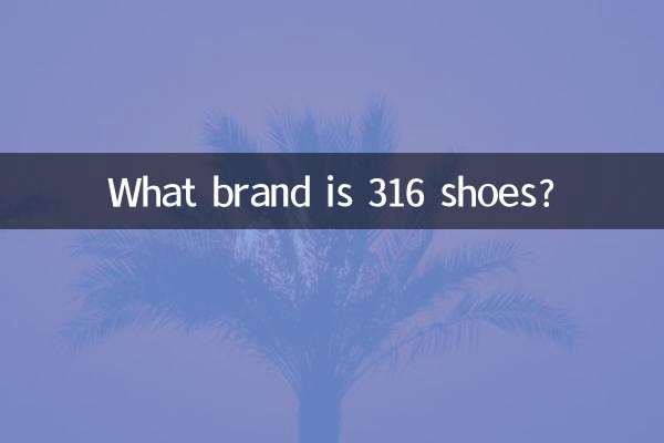 ¿Qué marca son los zapatos 316?